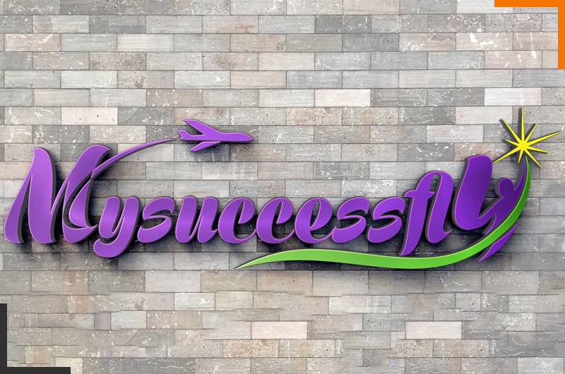 Mysuccessfly